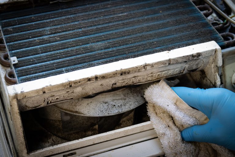 Mold in HVAC System
